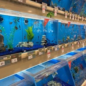 Meet your Posher, Rax